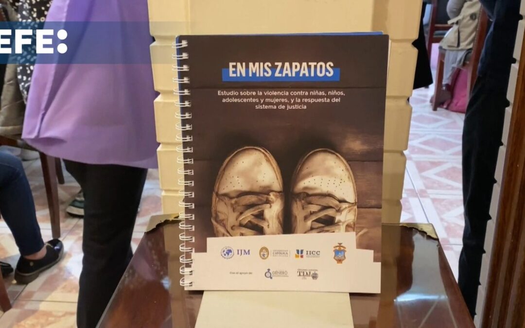Un estudio revela que una de cada 2 mujeres sufrieron violencia física o sexual en Bolivia
