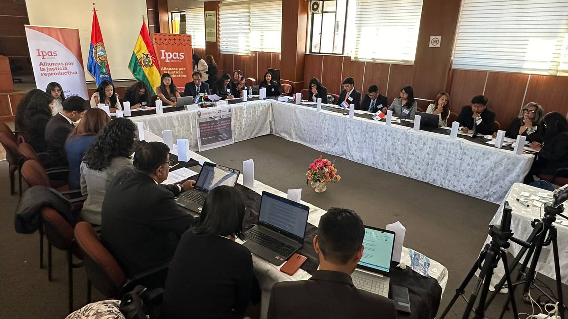 Modelo de la Asamblea General de la Organización de Estados Americanos Construyendo una América Libre de Violencia y Comprometida con los Derechos Sexuales y Reproductivos Modelo de la Asamblea General de la Organización de Estados Americanos Construyendo una América Libre de Violencia y Comprometida con los Derechos Sexuales y Reproductivos