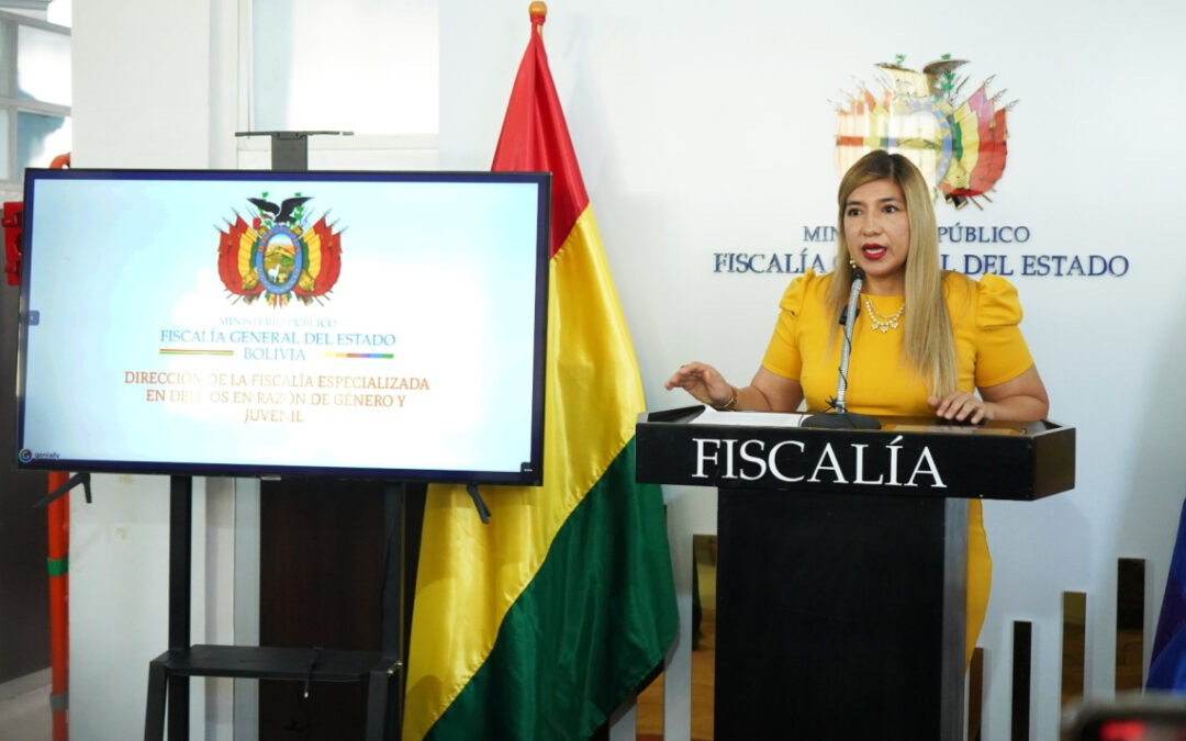 En Bolivia ascienden a 24.126 los casos de violencia en razón de género
